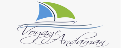 web development solutions near me